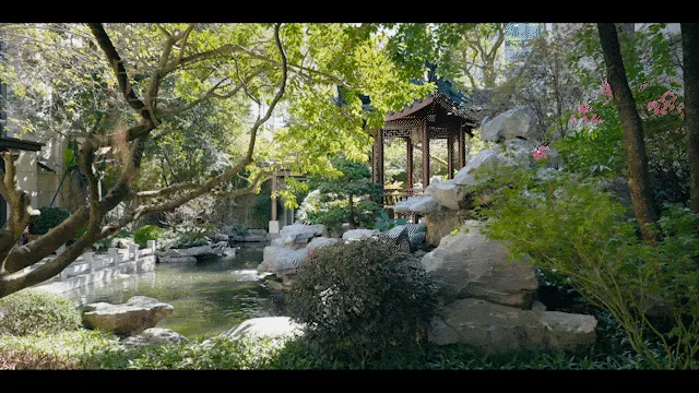 深圳院子_12