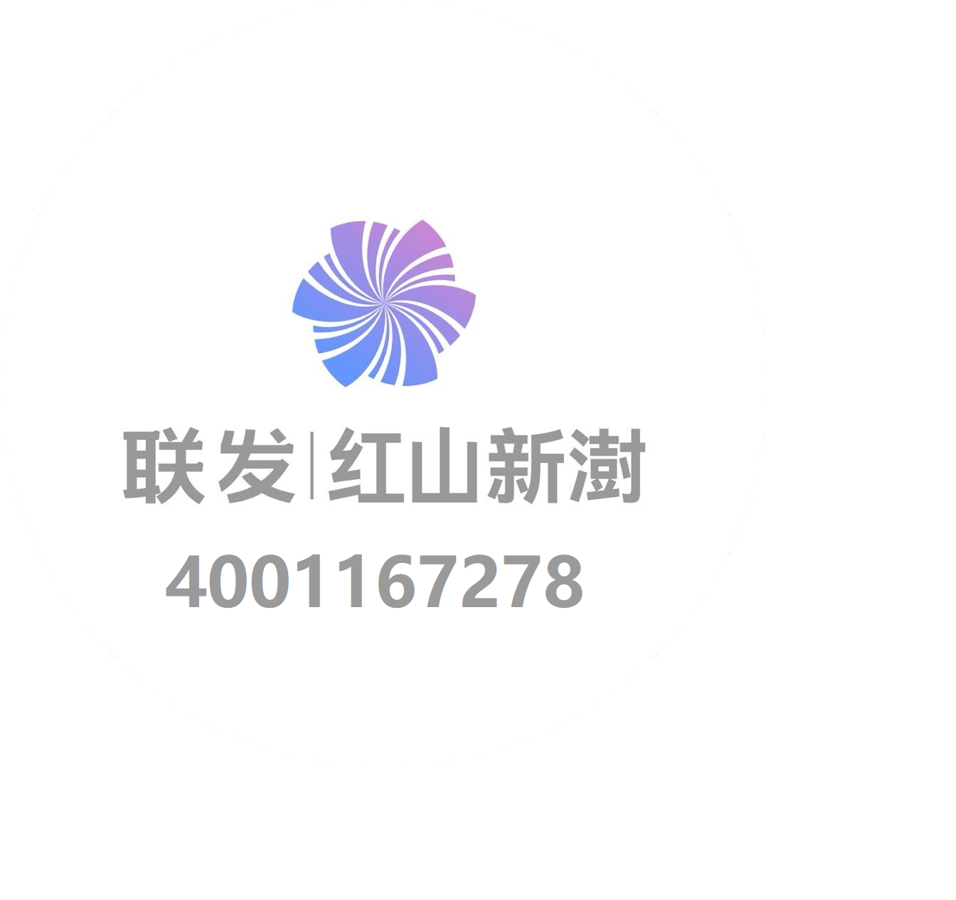 无标题