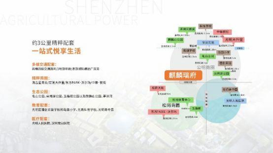 楼盘图片